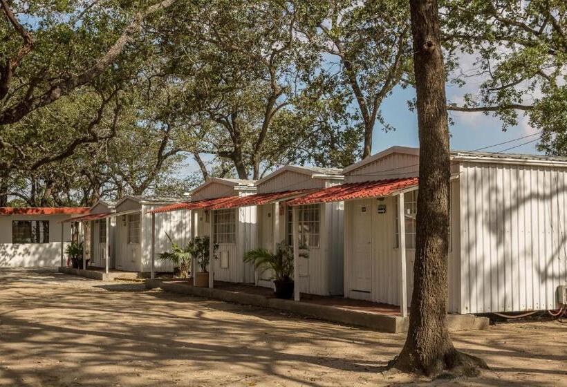اتاق استاندارد, Bonitto Inn® Tampico Altamira