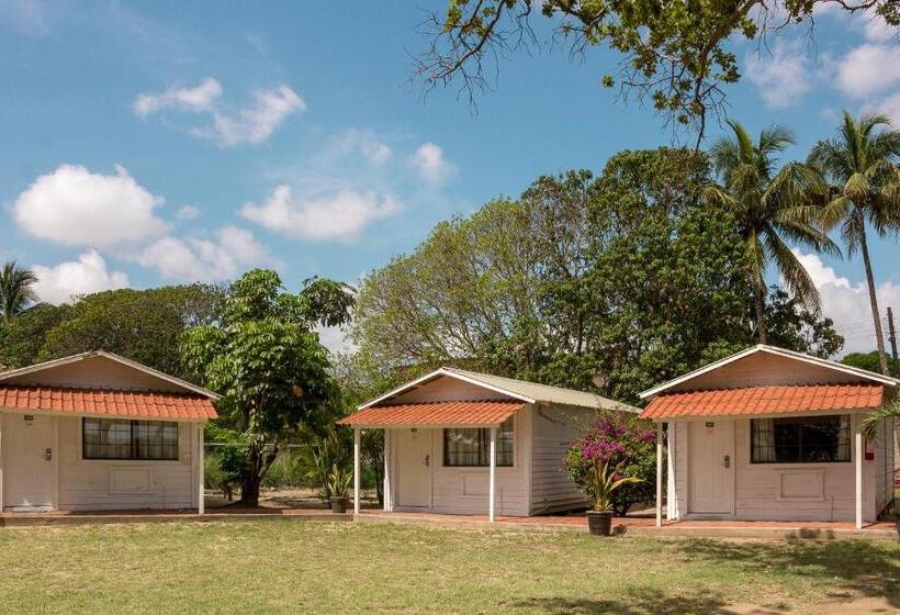 اتاق استاندارد با چشم‌انداز باغ, Bonitto Inn® Tampico Altamira