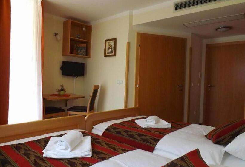 اتاق اکونومی, B&b Pansion Vago