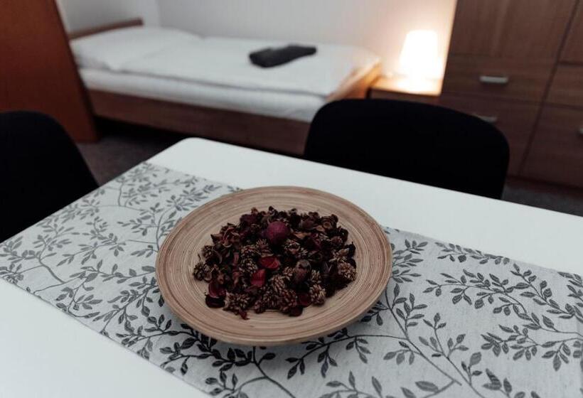 اتاق استاندارد چهار تخته, Penzion Vermon