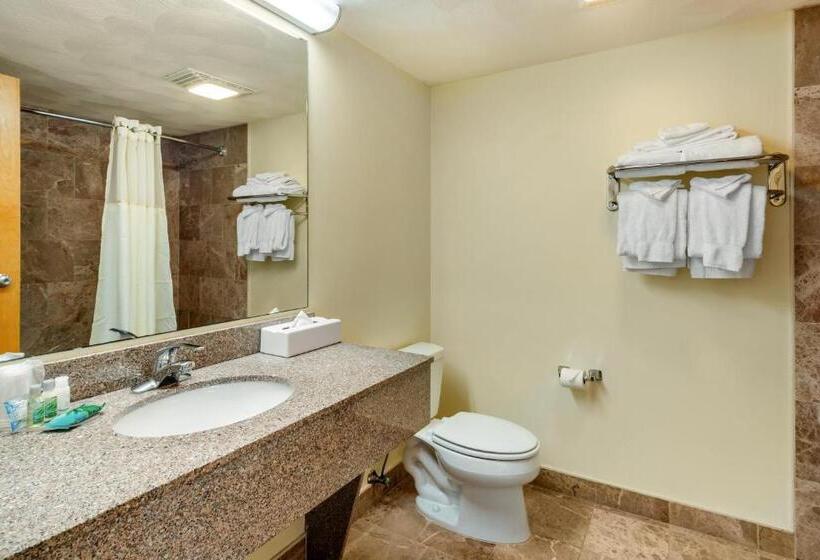 اتاق استاندارد با تخت بزرگ, Atlantic Beach Hotel Newport