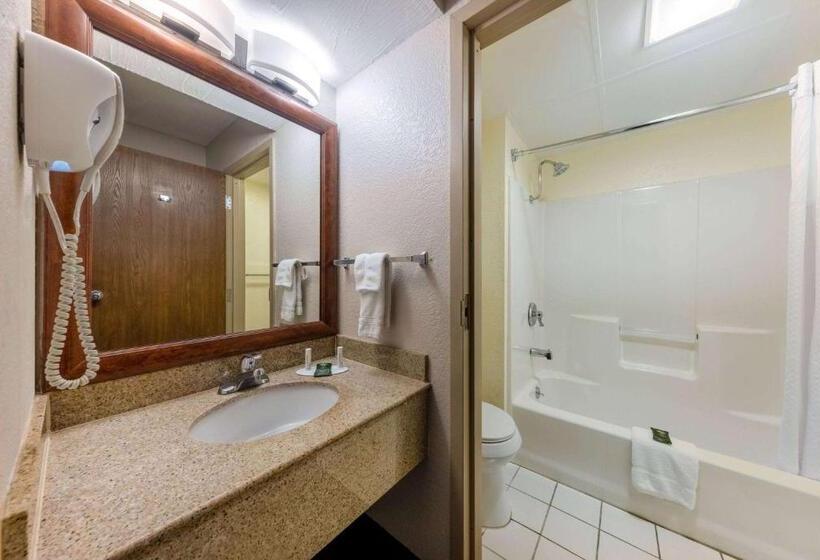 اتاق استاندارد با تخت بزرگ, Baymont By Wyndham Springfield South Hwy 65