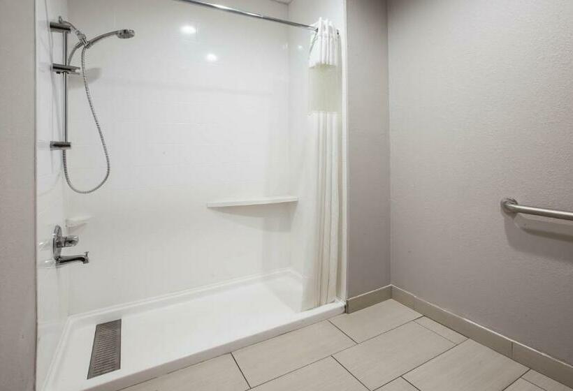 اتاق استاندارد با تخت بزرگ, Baymont By Wyndham Traverse City