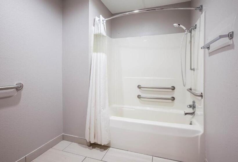 اتاق استاندارد با تخت بزرگ, Baymont By Wyndham Traverse City
