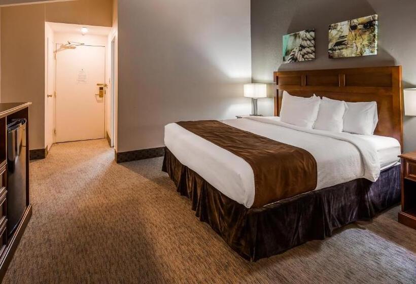Quarto Estandar Cama King, Best Western Adams Inn Quincy Boston