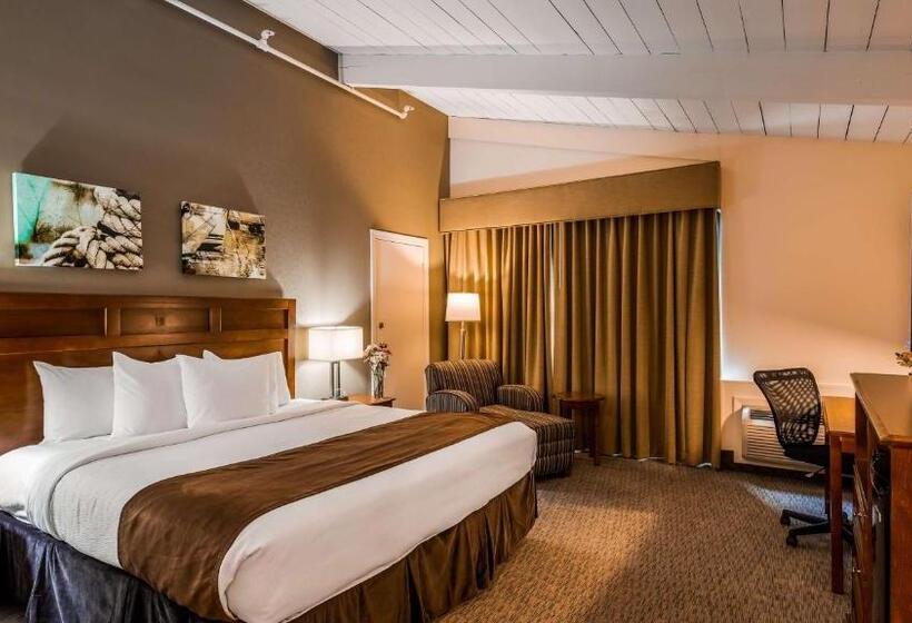 Quarto Estandar Cama King, Best Western Adams Inn Quincy Boston