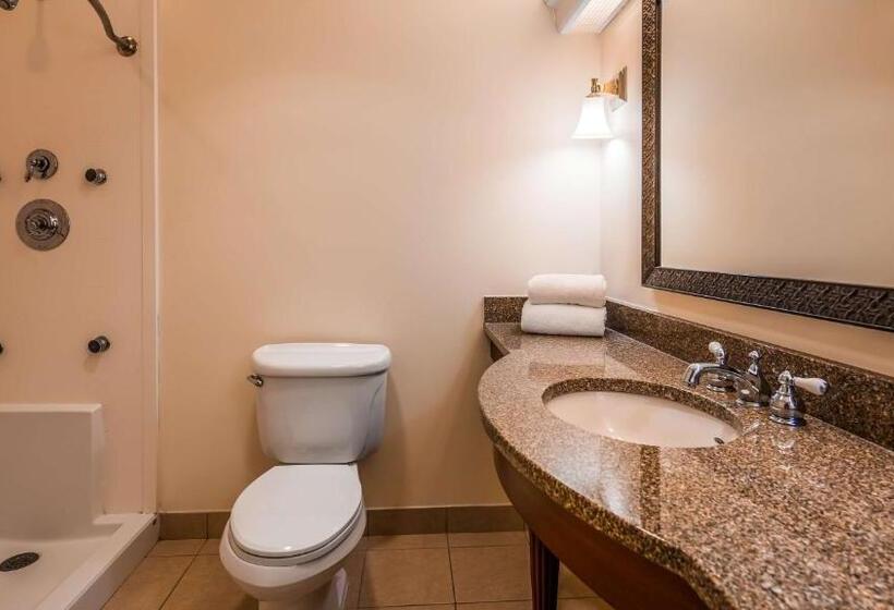 اتاق استاندارد برای معلولان, Best Western Adams Inn Quincyboston