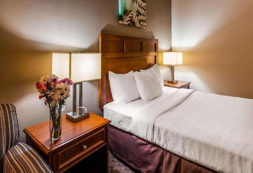 Standard Room Adapted for people with reduced mobility, Best Western Adams Inn Quincyboston