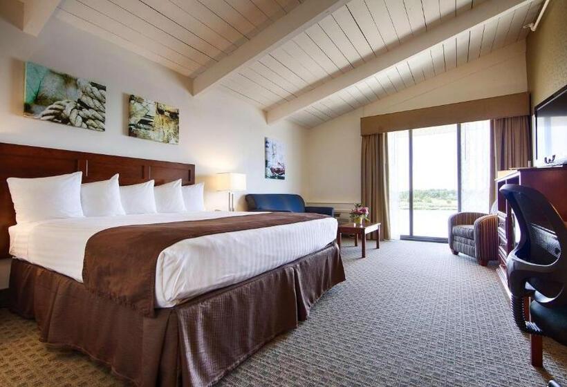 Quarto Estandar Cama King, Best Western Adams Inn Quincy Boston