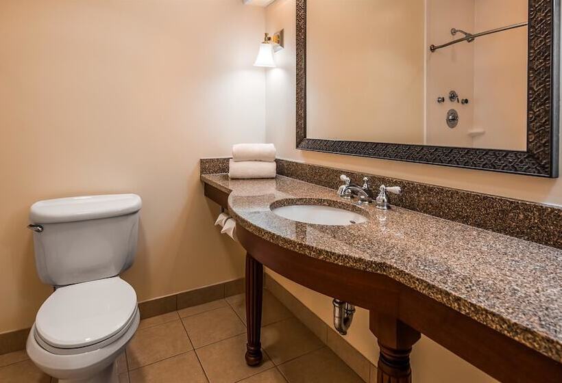 Suíte Júnior, Best Western Adams Inn Quincy Boston