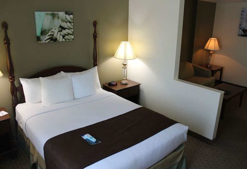 Suíte Júnior, Best Western Adams Inn Quincy Boston