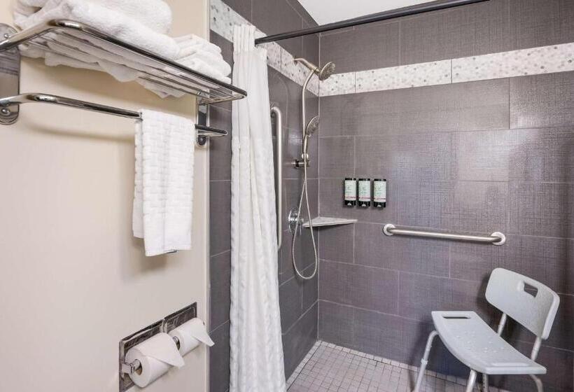 اتاق استاندارد با تخت بزرگ برای معلولان, Best Western Mountain View Inn