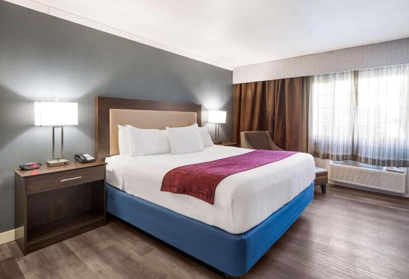 اتاق استاندارد با تخت بزرگ برای معلولان, Best Western Mountain View Inn