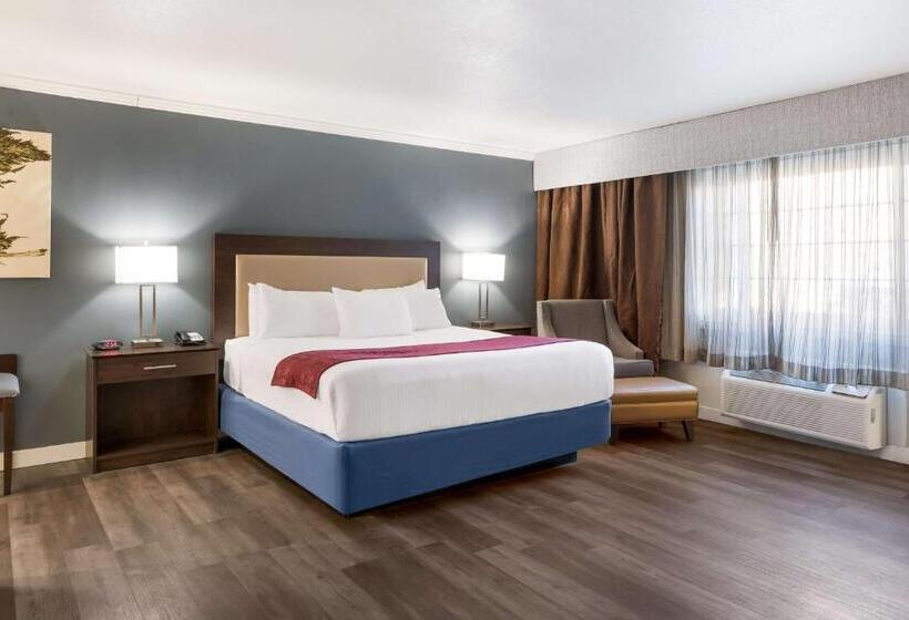 اتاق استاندارد با تخت بزرگ برای معلولان, Best Western Mountain View Inn