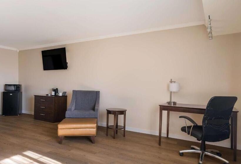 اتاق استاندارد با تخت بزرگ, Best Western Mountain View Inn