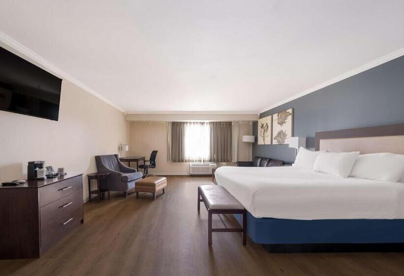 اتاق استاندارد با تخت بزرگ, Best Western Mountain View Inn
