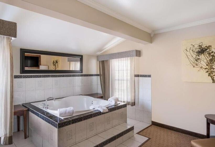 سوئیت با تخت بزرگ, Best Western Mountain View Inn