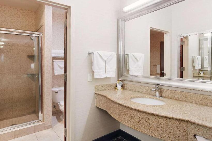 سوئیت 2 خوابه, Best Western Plus Abbey Inn