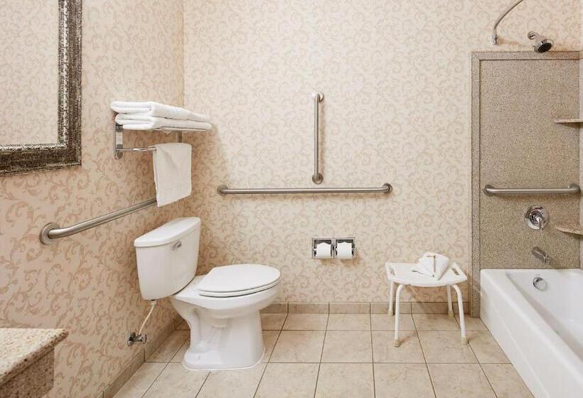 اتاق استاندارد با تخت بزرگ, Best Western Plus Abbey Inn