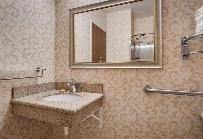 اتاق استاندارد با تخت بزرگ, Best Western Plus Abbey Inn