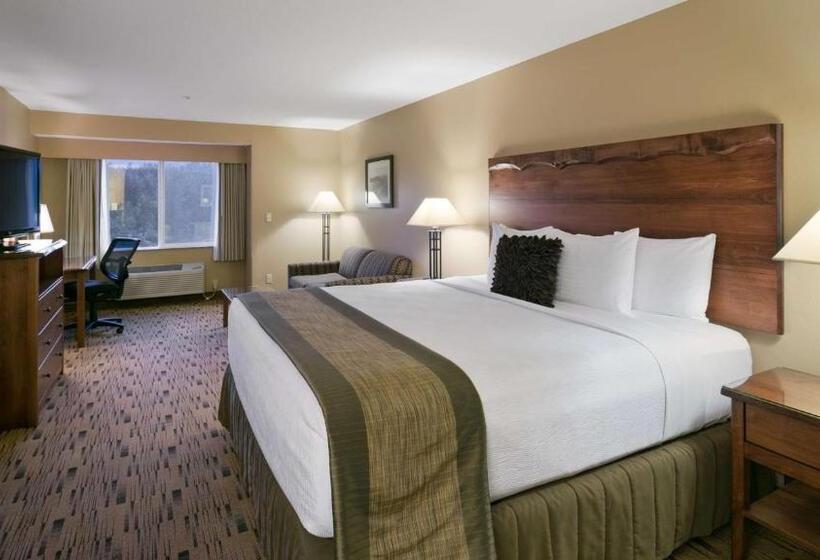 带大床的标准间, Best Western Plus Columbia River Inn