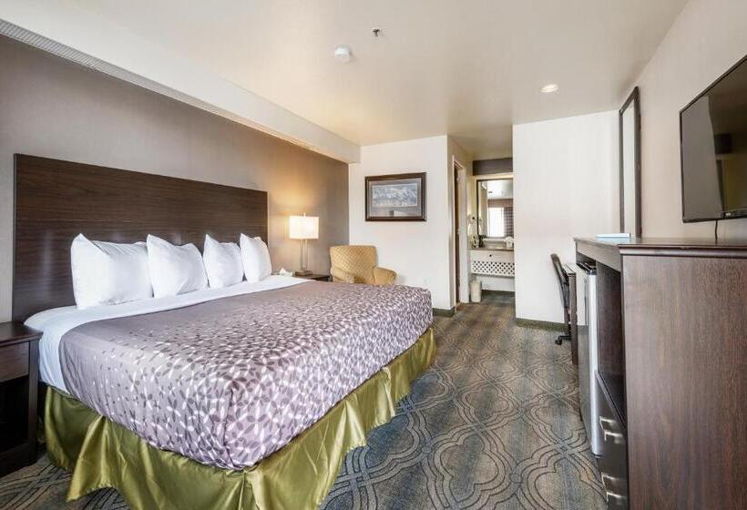 Standaardkamer met Kingsize Bed, City Creek Inn & Suites