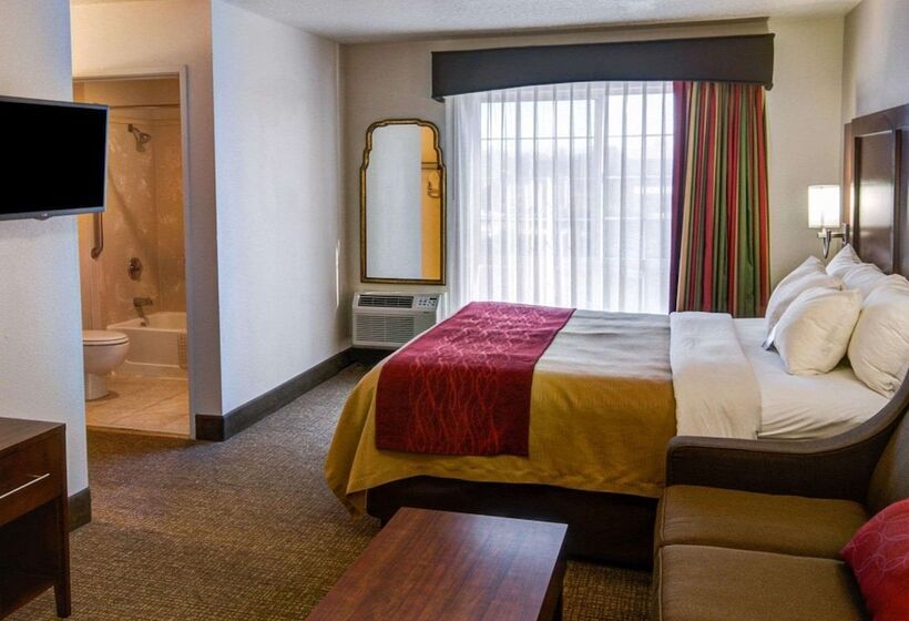 اتاق استاندارد با تخت دوبل, Comfort Inn Redding