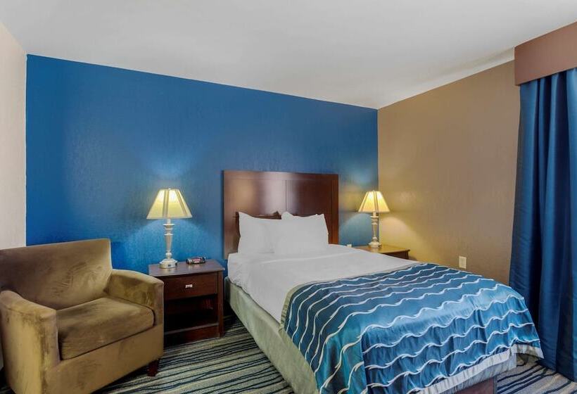 اتاق استاندارد با تخت دوبل, Comfort Inn & Suites