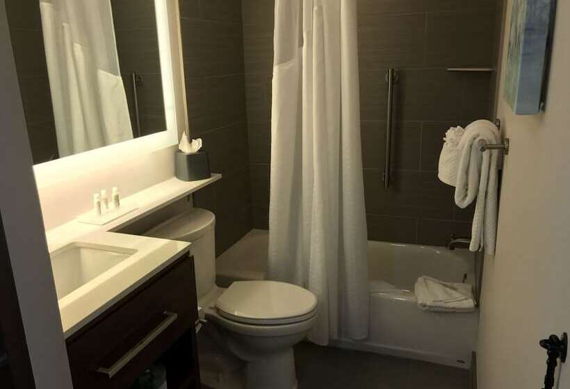 Suite, Doubletree By Hilton Omaha Southwest