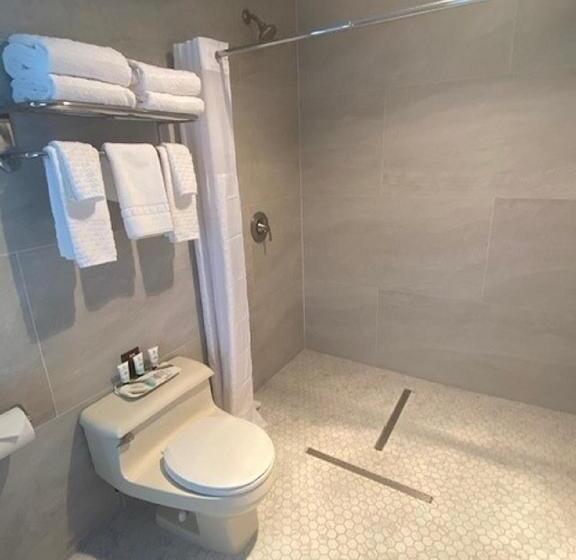 اتاق استاندارد با تخت بزرگ, Elm House Inn