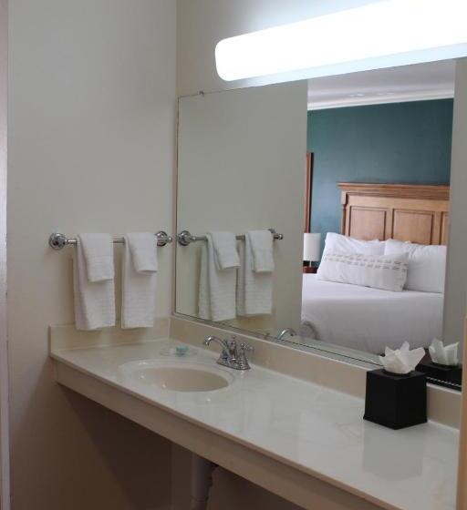 اتاق استاندارد با تخت بزرگ برای معلولان, Elm House Inn