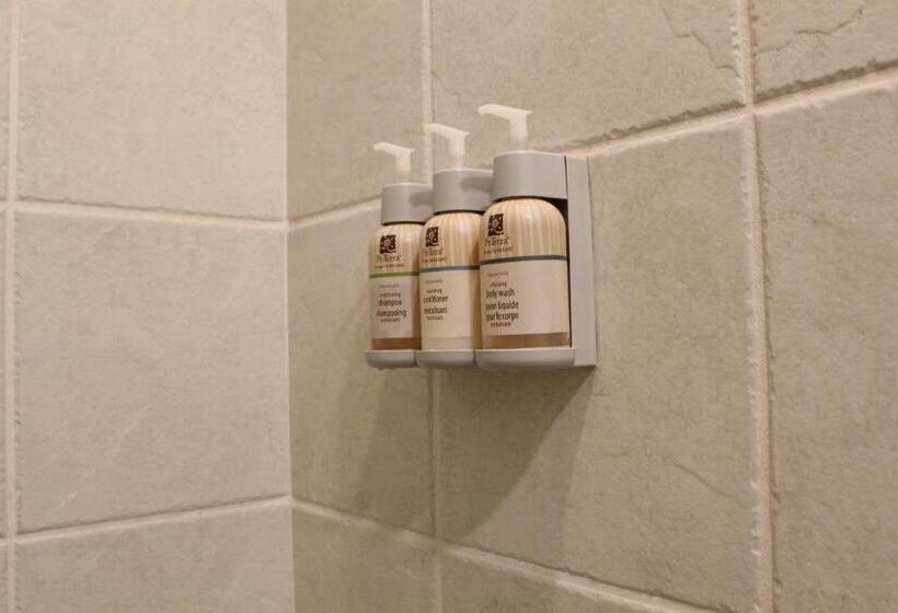 اتاق استاندارد با تخت بزرگ, Elm House Inn