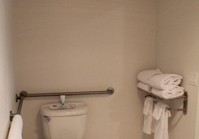 اتاق استاندارد با تخت بزرگ, Elm House Inn