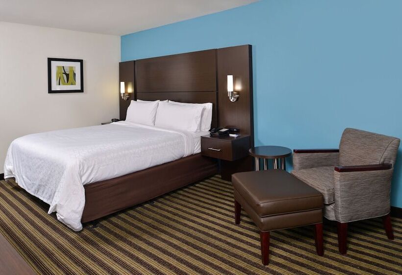 Quarto Estandar, Holiday Inn Express Montgomery East I85