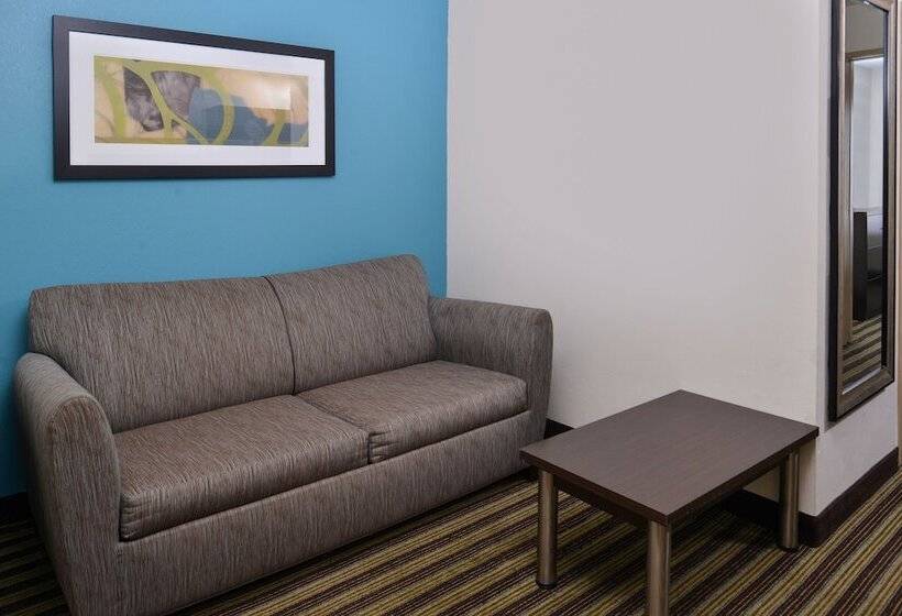 Suite Adapted for people with reduced mobility, Holiday Inn Express Montgomery East I85