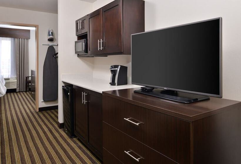 Suite Adaptada per a persones amb mobilitat reduïda, Holiday Inn Express Montgomery East I85