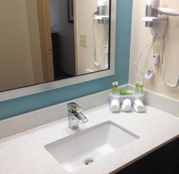 اتاق استاندارد برای معلولان, Holiday Inn Express Montgomery East I 85, An Ihg