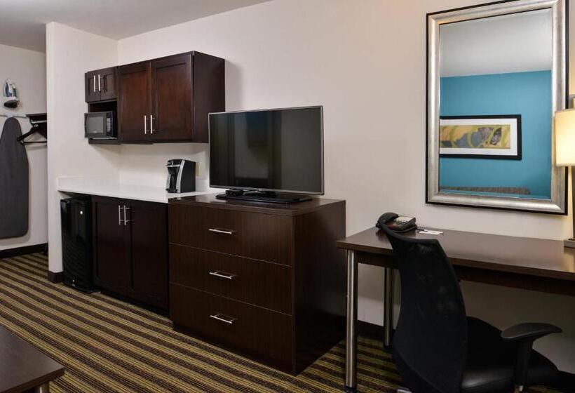 سوئیت با تخت بزرگ, Holiday Inn Express Montgomery East I85