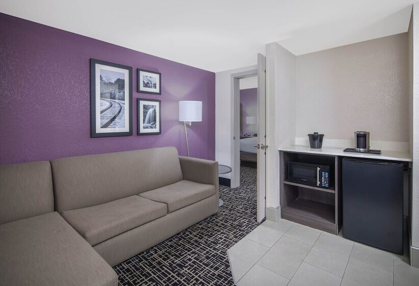 سوییت, La Quinta By Wyndham Chattanooga   East Ridge