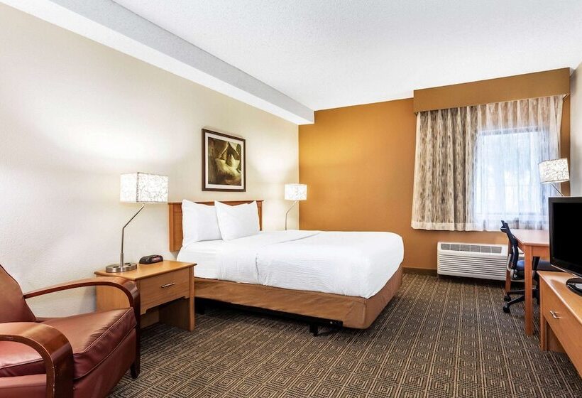 اتاق استاندارد با تخت دوبل برای معلولان, La Quinta Inn & Suites By Wyndham Orlando South