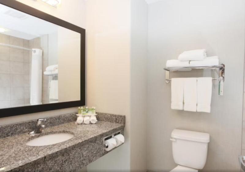 اتاق سوپریور, Red Roof Inn & Suites Rome