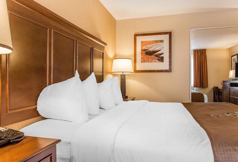 اتاق استاندارد با تخت بزرگ, The Black Swan Lee   Lenox, Ascend Hotel Collection