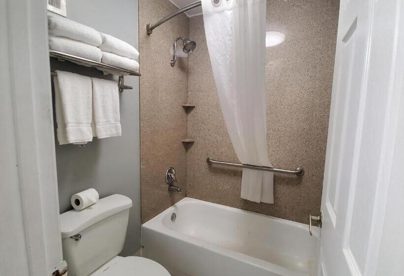 اتاق لوکس با تخت بزرگ, Vero Beach Inn & Suites Vero Beach I 95