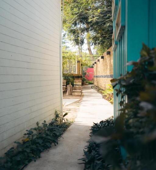 اتاق استاندارد, Nuiya Hoteles Centro