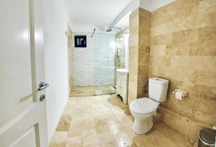 اتاق لوکس خانوادگی, Boutique Hotel Casa Medievala