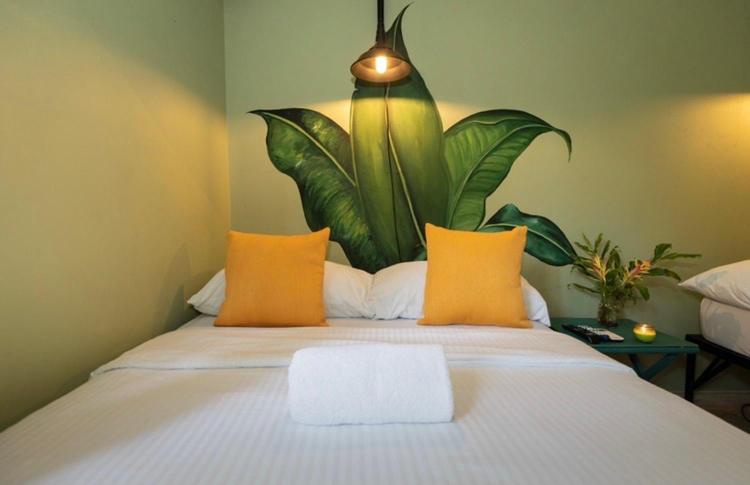 اتاق استاندارد با چشم‌انداز باغ, Hostal & Café Travelers