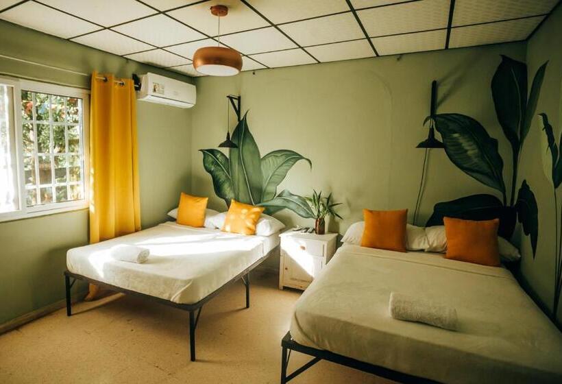 اتاق استاندارد با چشم‌انداز باغ, Hostal & Café Travelers