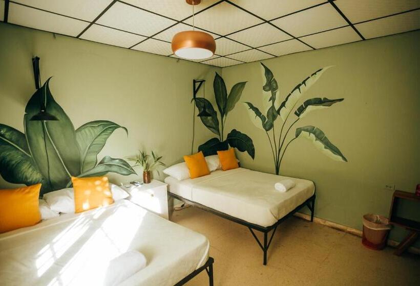 اتاق استاندارد با چشم‌انداز باغ, Hostal & Café Travelers