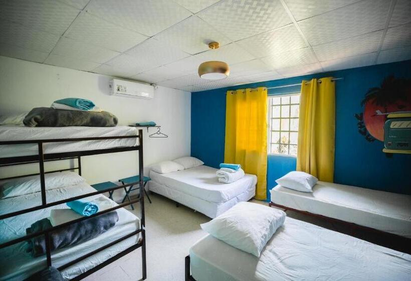 تختخواب در اتاق مشترک, Hostal & Café Travelers