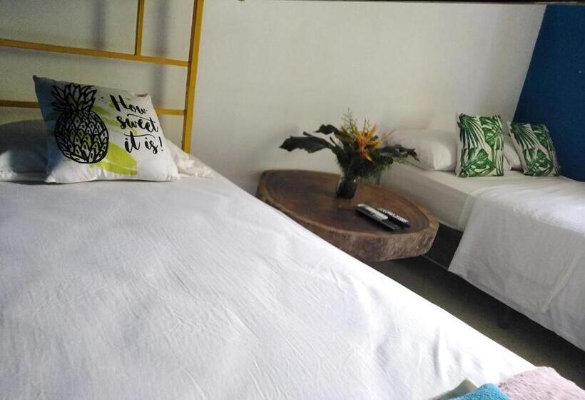 اتاق استاندارد, Hostal & Café Travelers